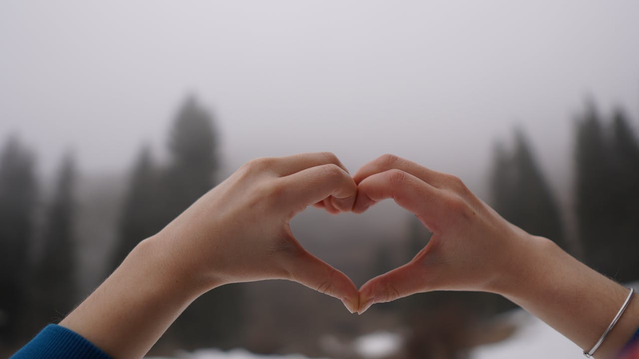 Two hands create a heart shape against a misty backdrop of pine trees, symbolizing love.